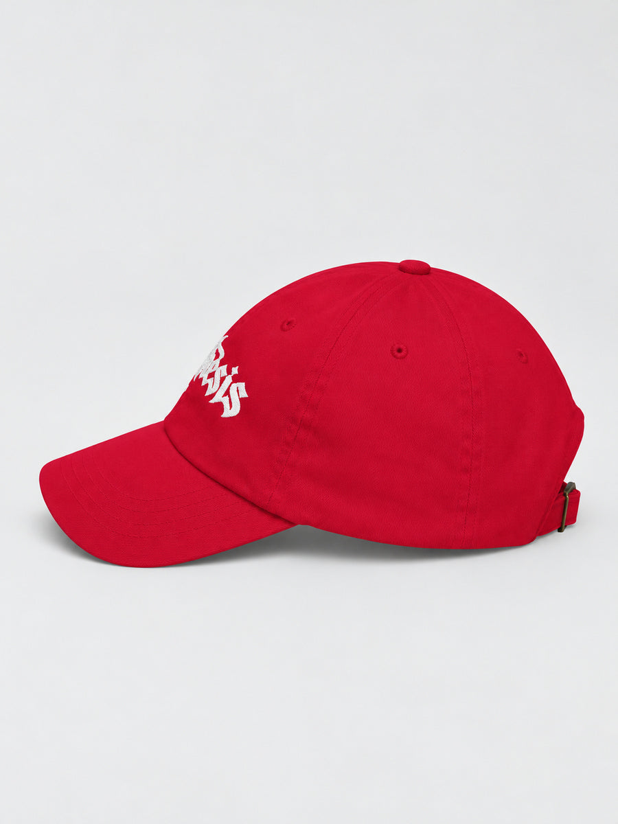 Cranberry Synthesis Ritual embroidered cap, left-facing side on gray.